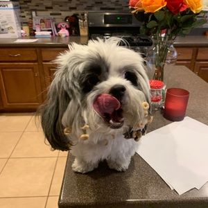 Meet your Posher, Daniel